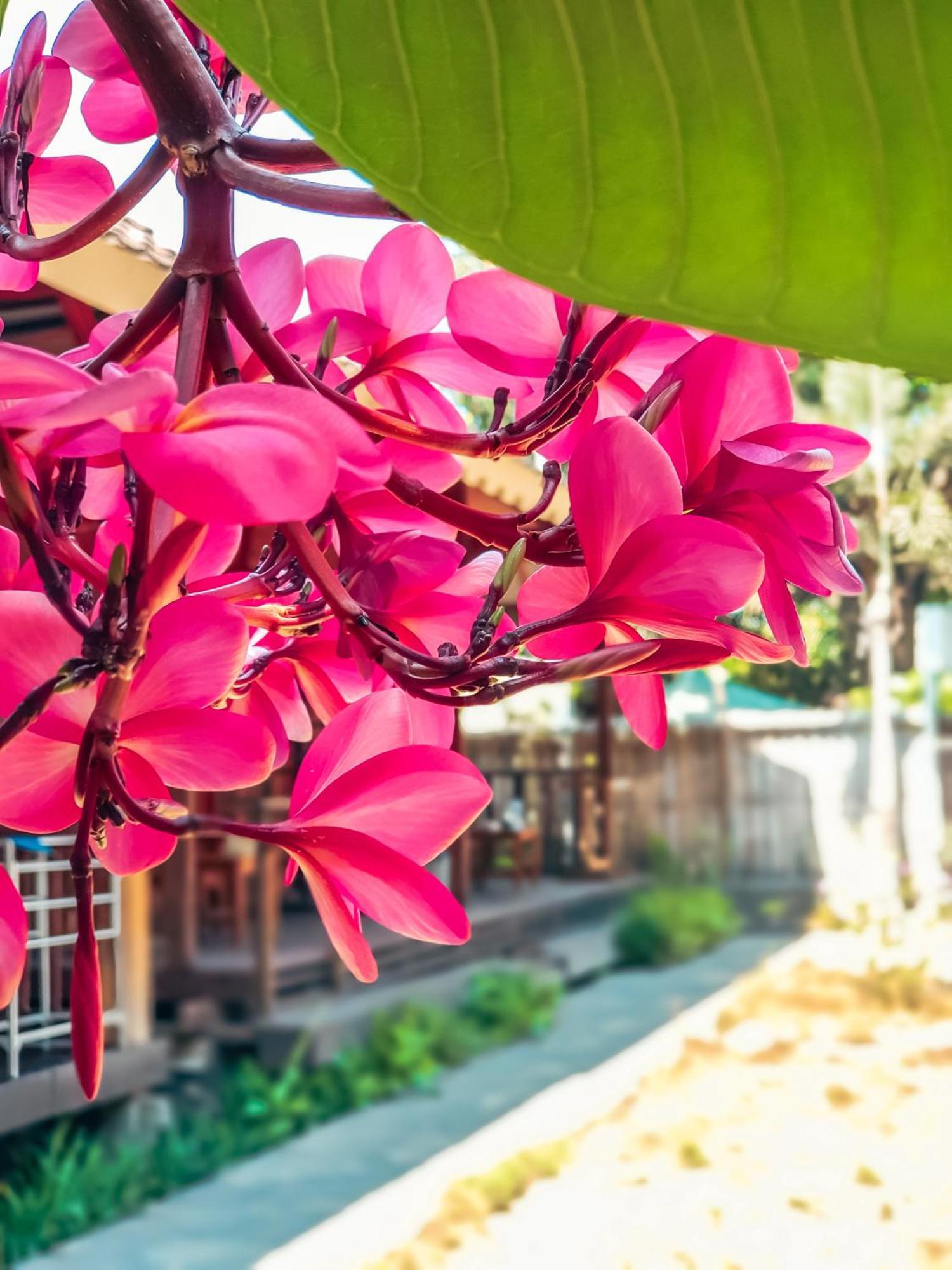 Leaf Coco Bungalow Gili Air Exterior photo