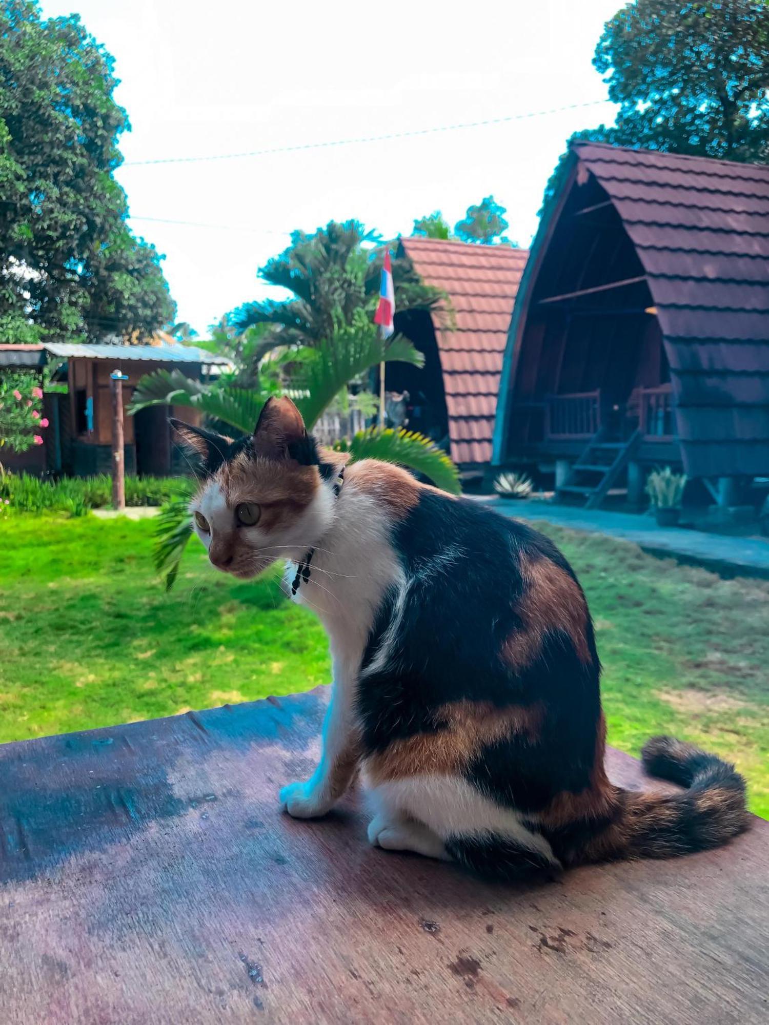 Leaf Coco Bungalow Gili Air Exterior photo