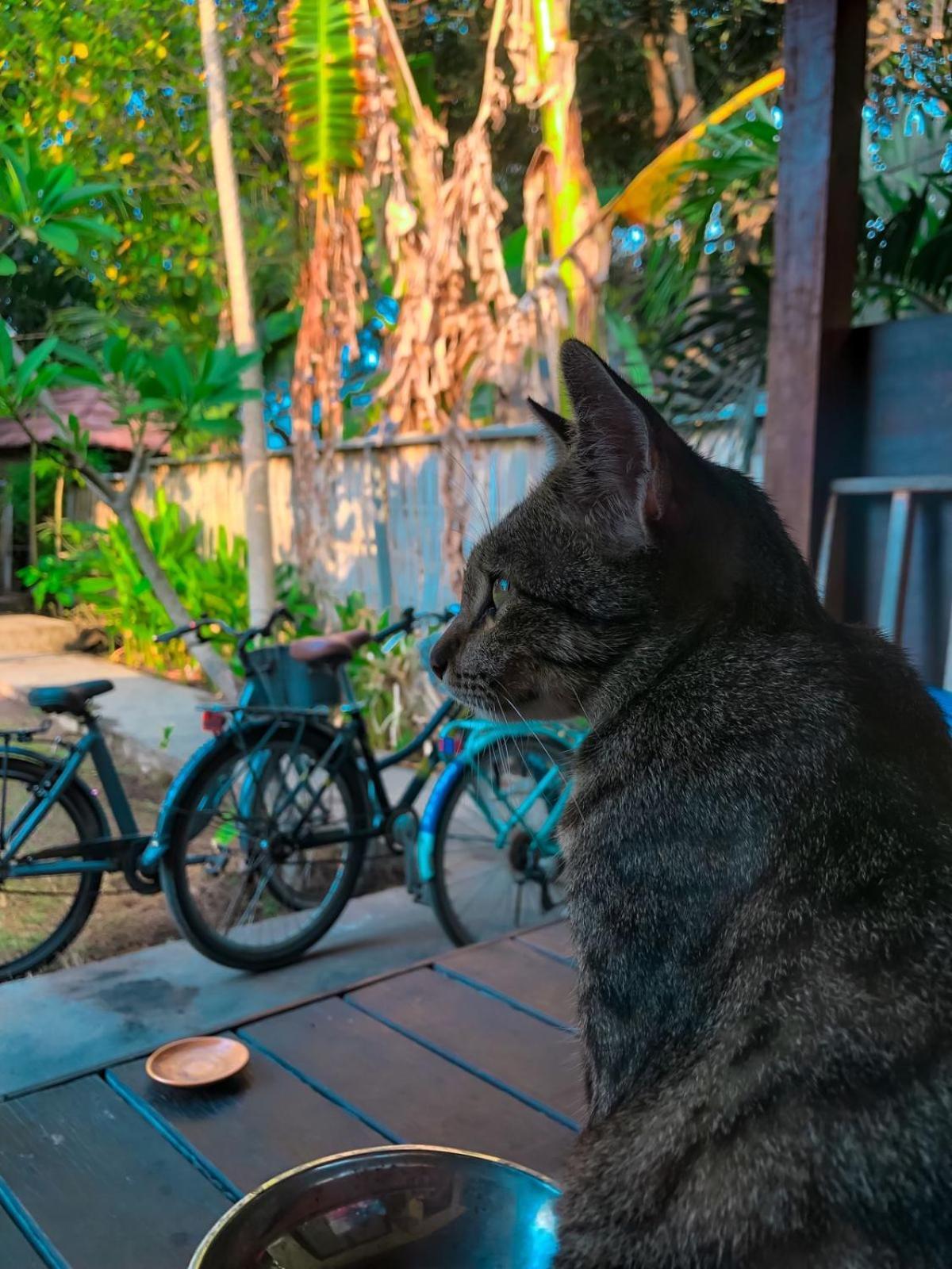 Leaf Coco Bungalow Gili Air Exterior photo